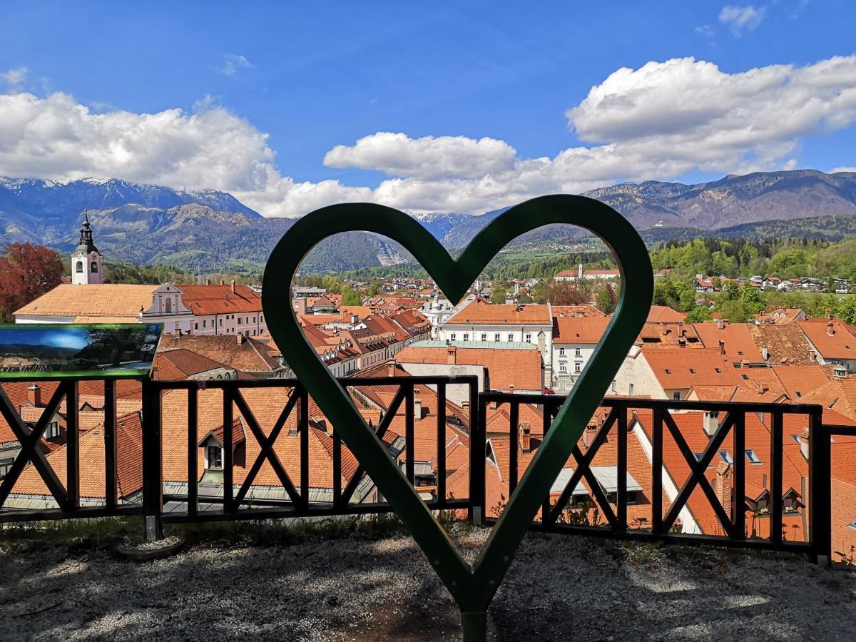 Apartma Tanja Kamnik Bagian luar foto