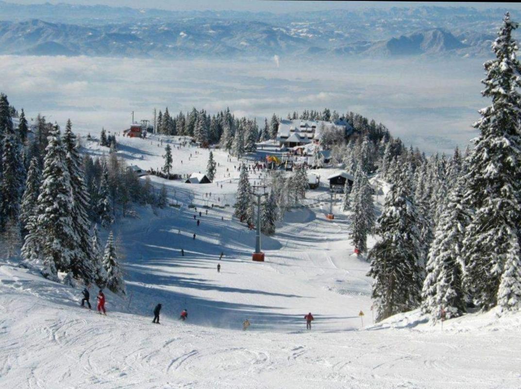 Apartma Tanja Kamnik Bagian luar foto