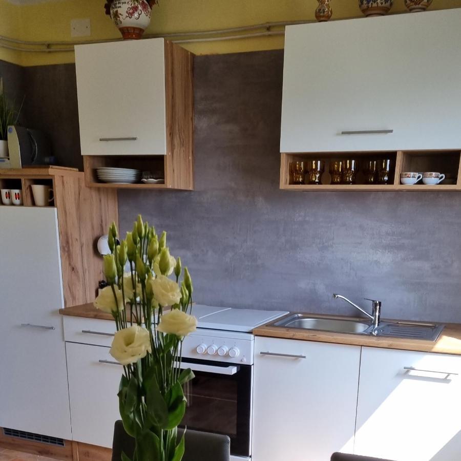 Apartma Tanja Kamnik Bagian luar foto